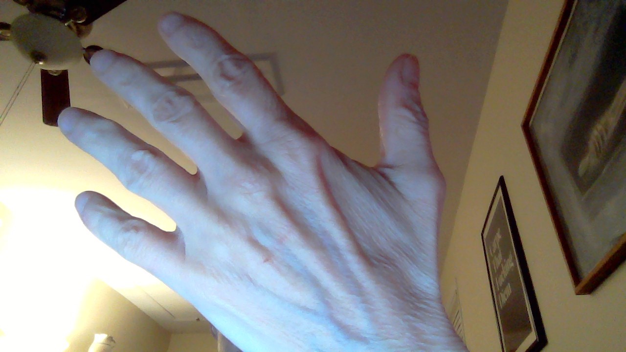 Written On My Hand (Poem For Feb 19-Pouncepunk22)