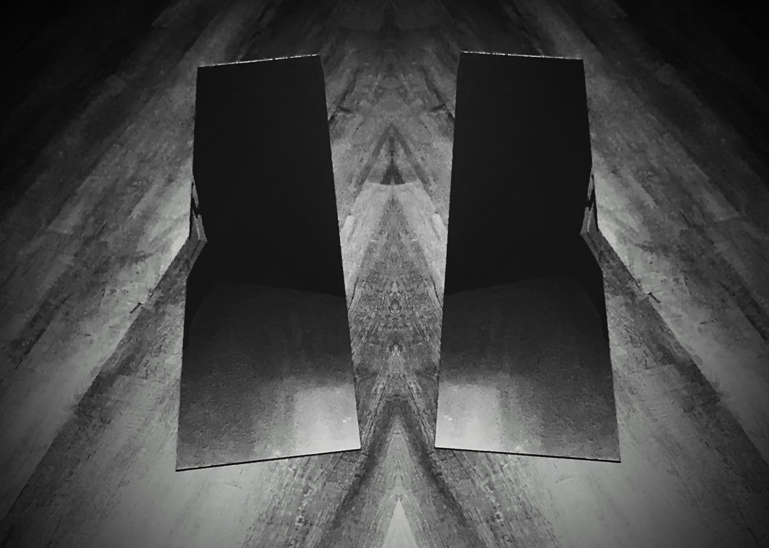 Mirror Image Thought Experiment