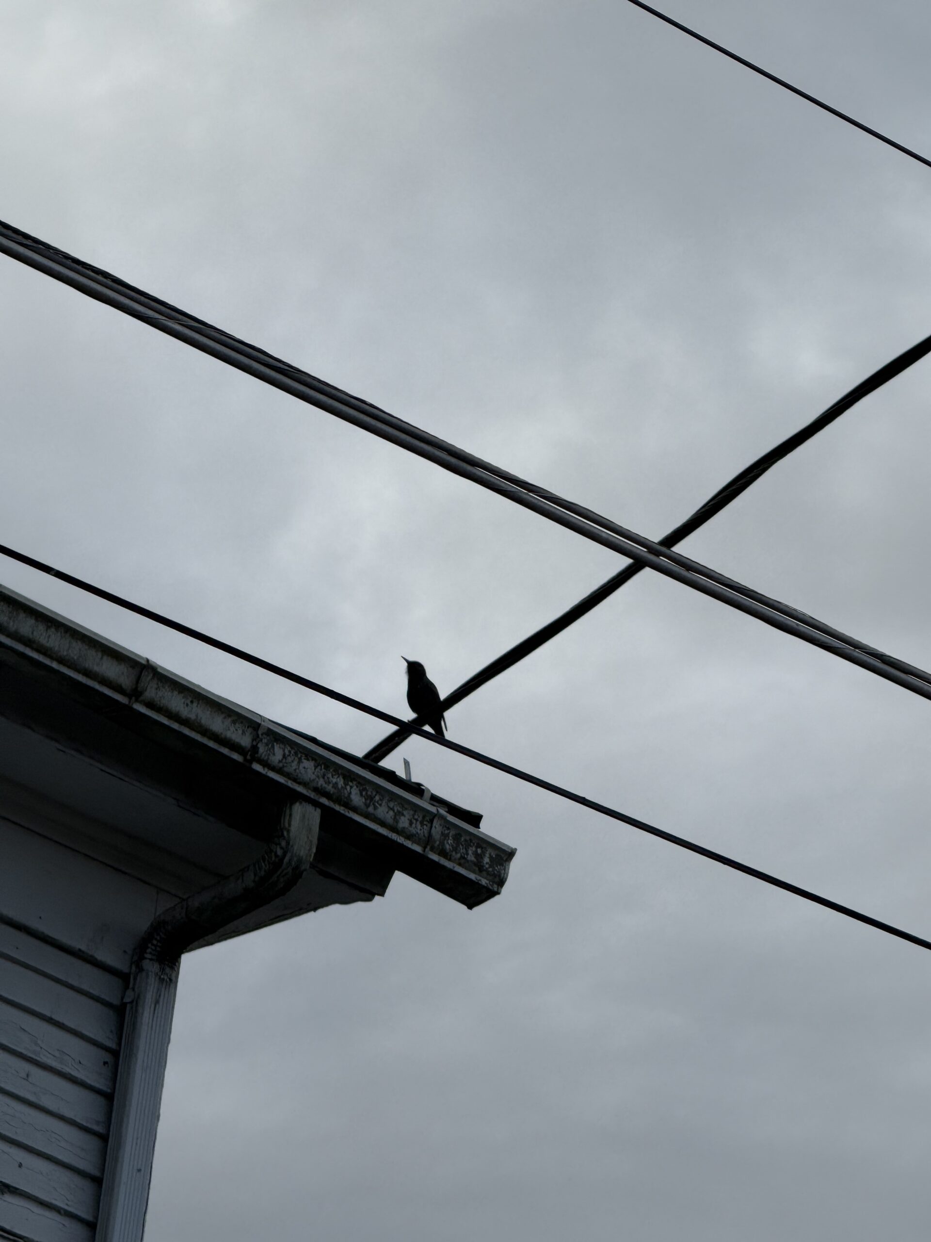 It Could Be Rain (Poem)